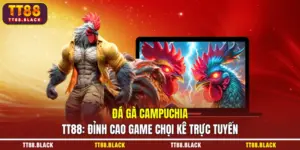 Đá Gà Campuchia